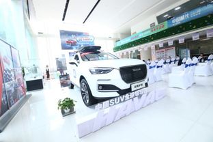 惊喜连连嗨翻天 哈弗f5团购郑州收官