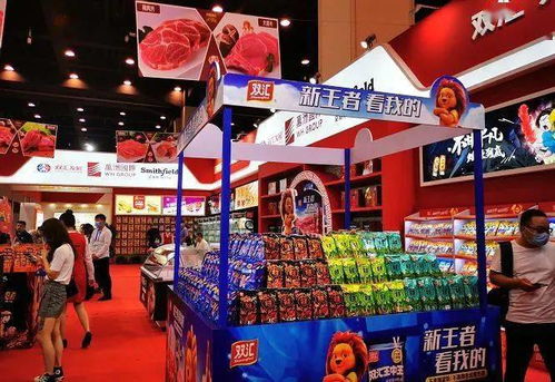 筑牢 首届郑州食品博览会 安保防线 河南华威保安护航经济繁荣发展