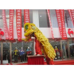 郑州舞龙舞狮队 郑州舞狮团